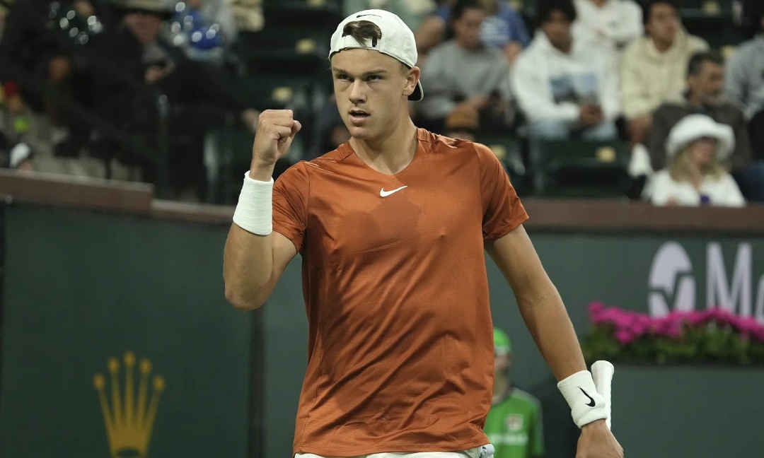 并非仅限于 并非仅限于