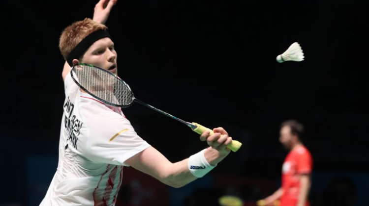 全新的表达 全新的表达