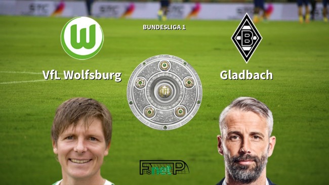 辟谣声明 辟谣声明